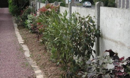 Aménagement de jardin à Granville